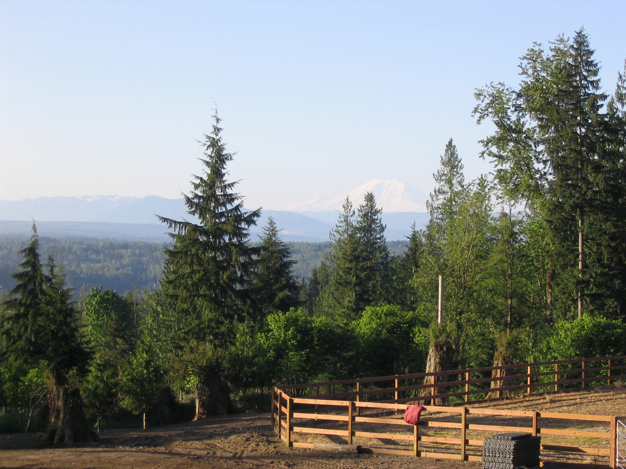 Mount Rainier.jpg 1016.0K
